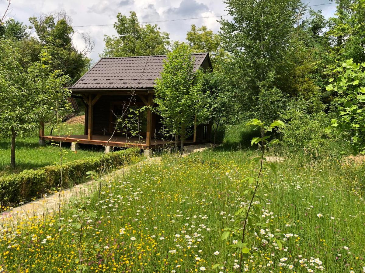 Villa Галіція Byalobereska Esterno foto