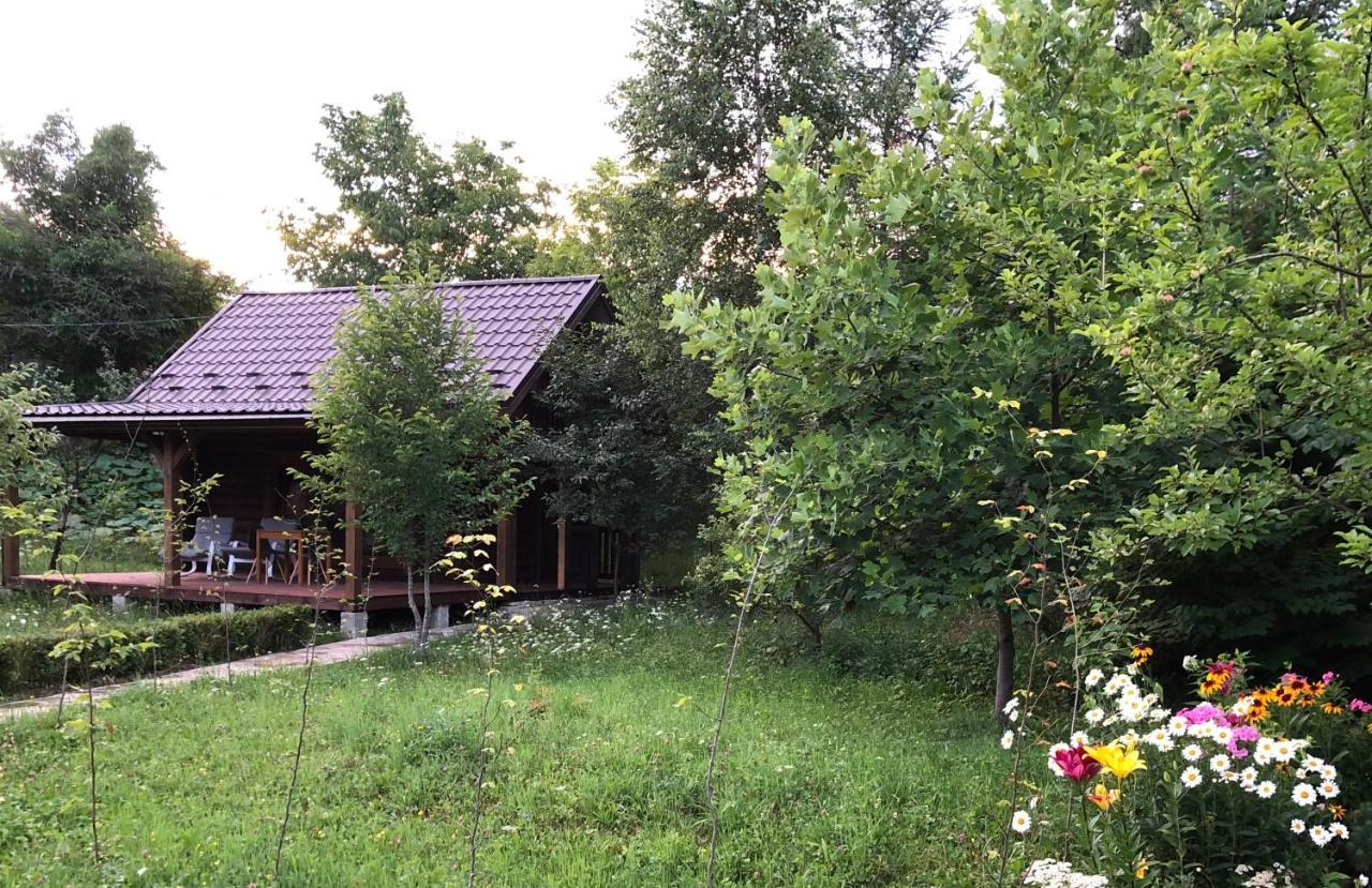 Villa Галіція Byalobereska Esterno foto